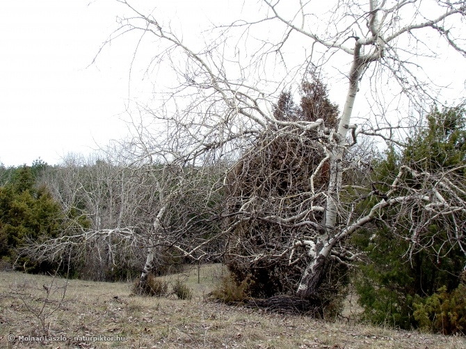333 ZDSC01372ss.JPG 333 ZDSC01372ss.JPG