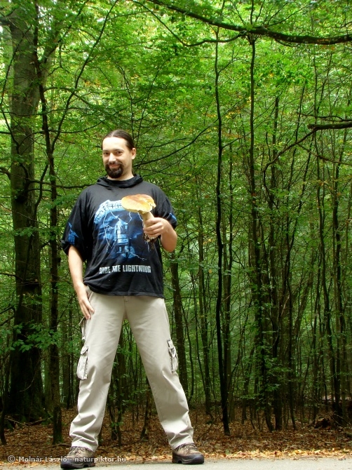 Boletus 1., Söderåsen NP, SWE  Boletus 1., Söderåsen NP, SWE