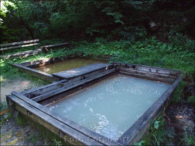 a te úszómedencéd. a te úszómedencéd.