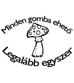 gomba duj15l01 másolata.jpg gomba duj15l01 másolata.jpg