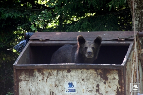 egy közeli község határába menekülr.jpg egy közeli község határába menekülr.jpg