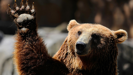 i44m7jzl.jpg i44m7jzl.jpg