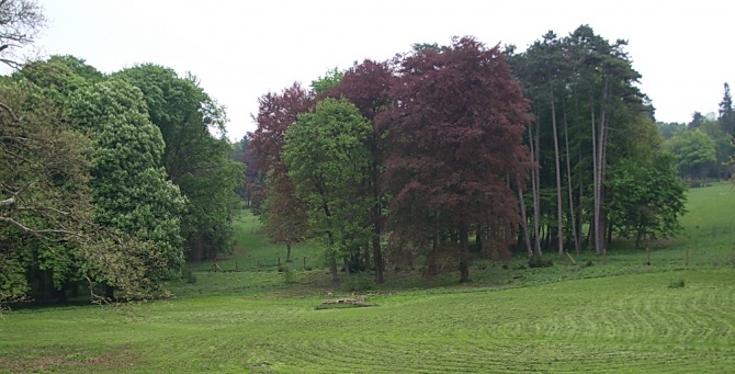 00077 p212-1s.jpg 00077 p212-1s.jpg