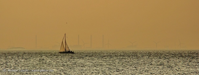 'Távolban egy fehér vitorla' 'Távolban egy fehér vitorla'