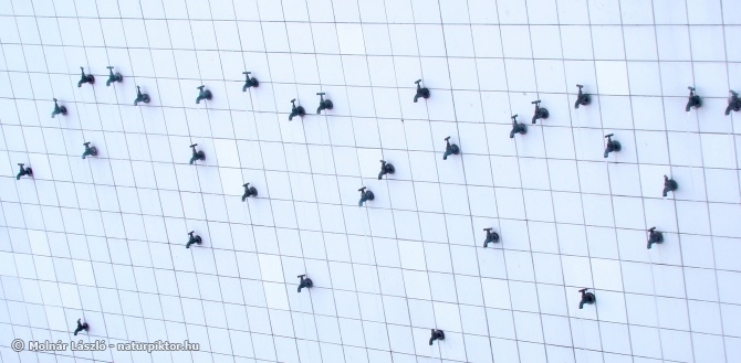 Falicsapok (szivárgók) Falicsapok (szivárgók)