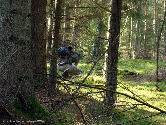 Vomb-erdő 2., SWE Vomb-erdő 2., SWE